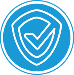 Secure Information Networks