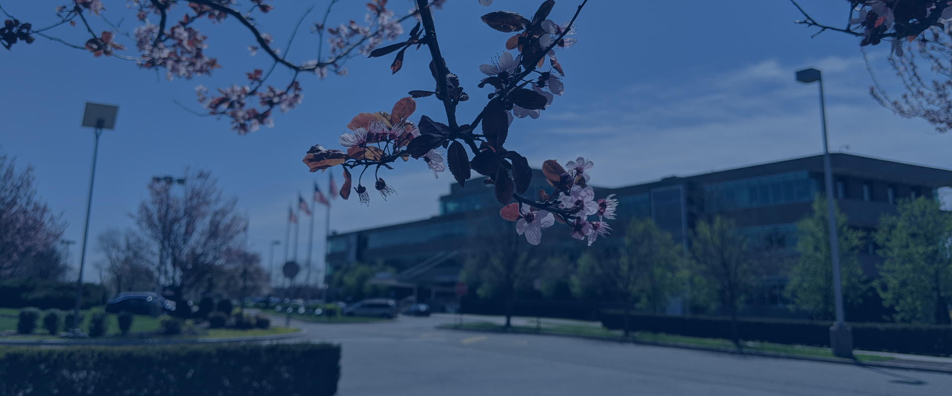 Remediation and Biodiversity